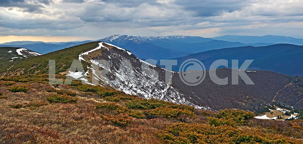 Mountain