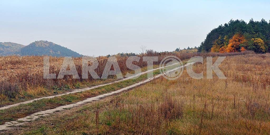 Country road
