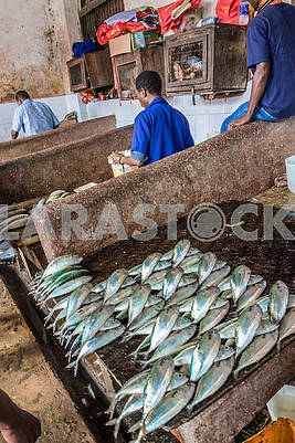 Торговля рыбой									