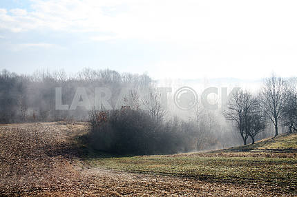 Туманное сельское утро 9 февраля