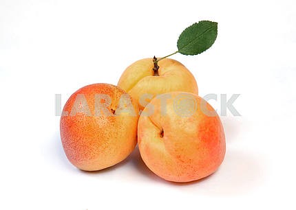 Apricotd