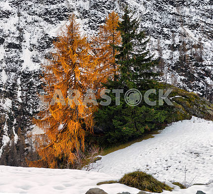 Осенний пейзаж в Альпах