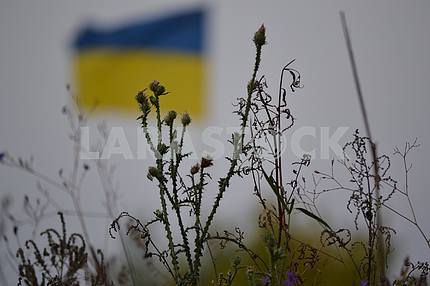 Флаг Украины в зоне АТО