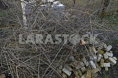 Багато зрізаних гілок