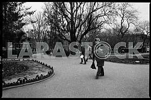 Жанровая фотография