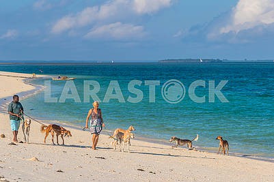 Люди с собаками на пляже									