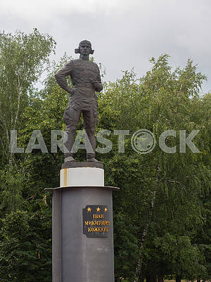 Памятник летчику Ивану Кожедубу																		