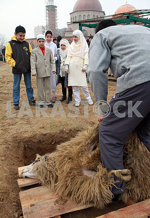 Дети наблюдают за жертвоприношением на праздник Курбан-байрам