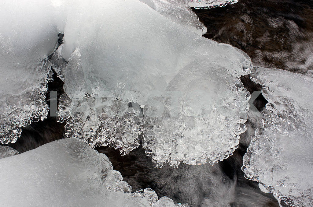 Lace ice frozen — Image 15041