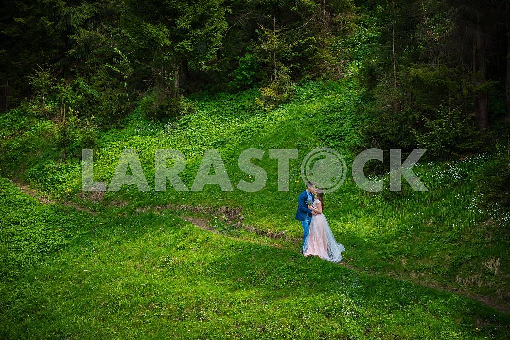 Wedding in mountains, a couple in love, in mountain forrest, standing on the path, among the lawn with the green grass, rustic style, kissing each other, girl in long tulle dress, romantic landscape — Image 29791