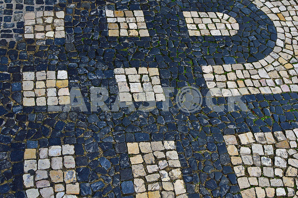 Stone mosaic on the street of Lisbon — Image 76452