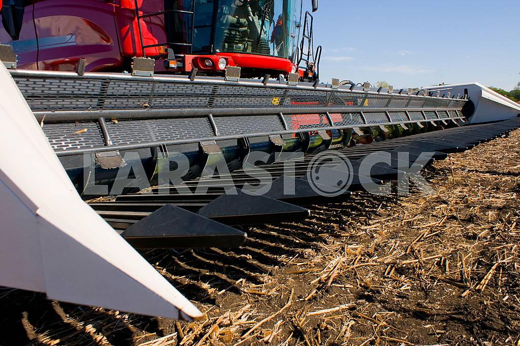 Maize, harvester, harvesting of sunflower — Image 22872