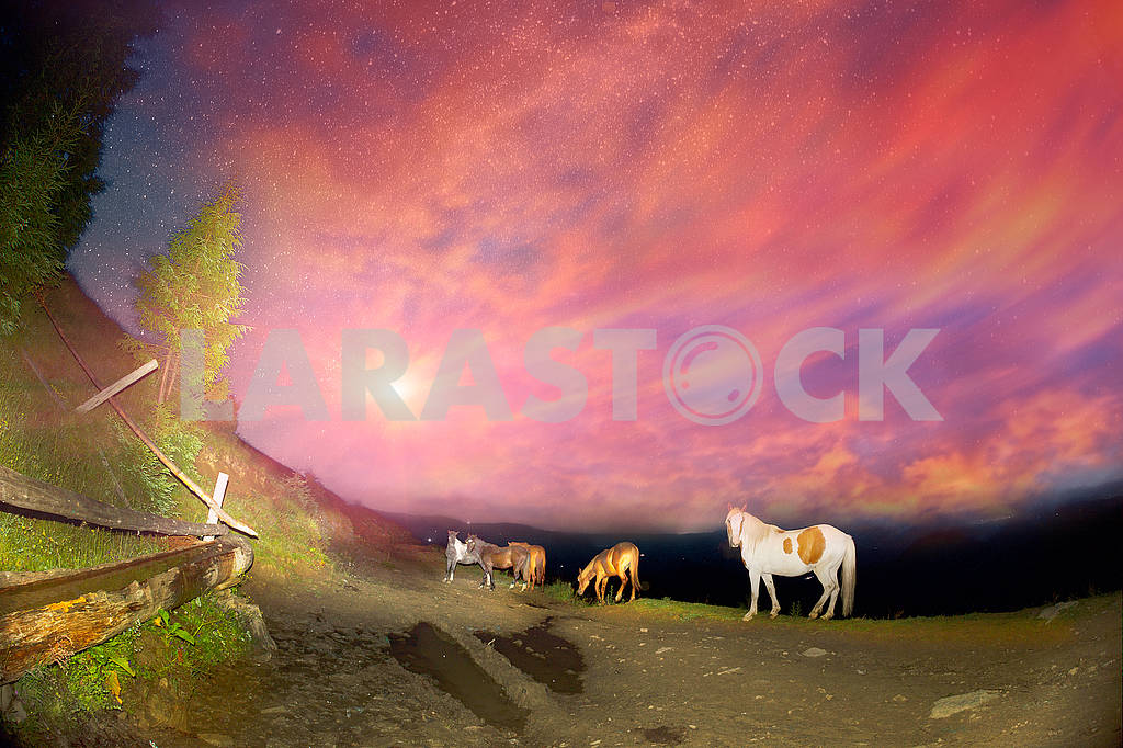 Horses in the night mountains — Image 63454