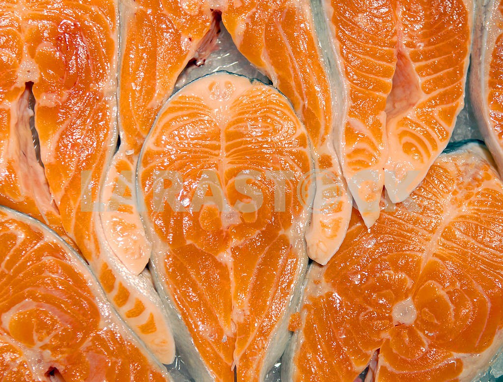 Crude fillet of a salmon — Image 3705