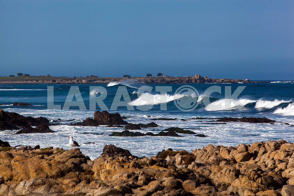 Waves on the shore of the Pacific Ocean — Image 32836