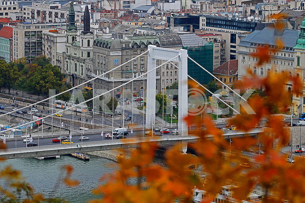 Erzsebet Bridge over the Danube — Image 49796