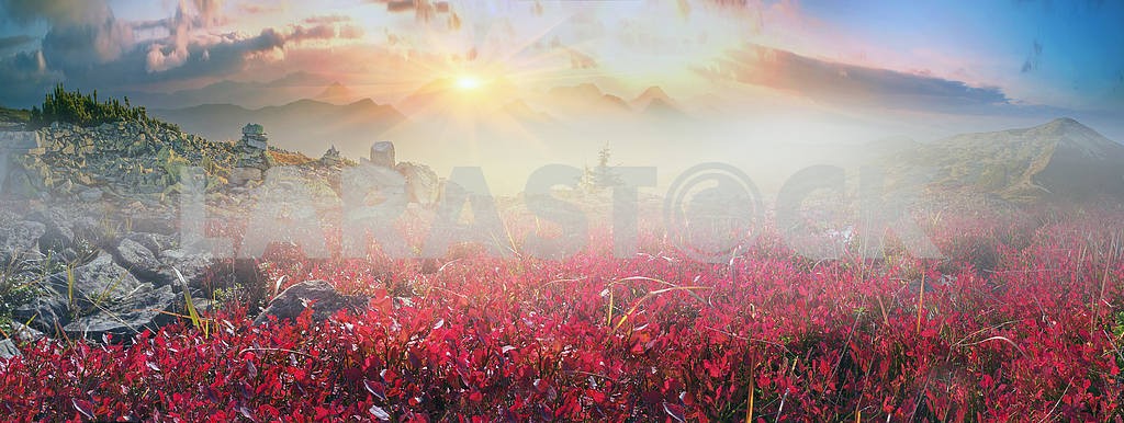 Alpine autumn in Gorgany — Image 12196