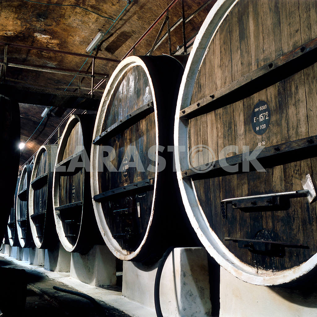 Wine barrels in the cellar — Image 21977