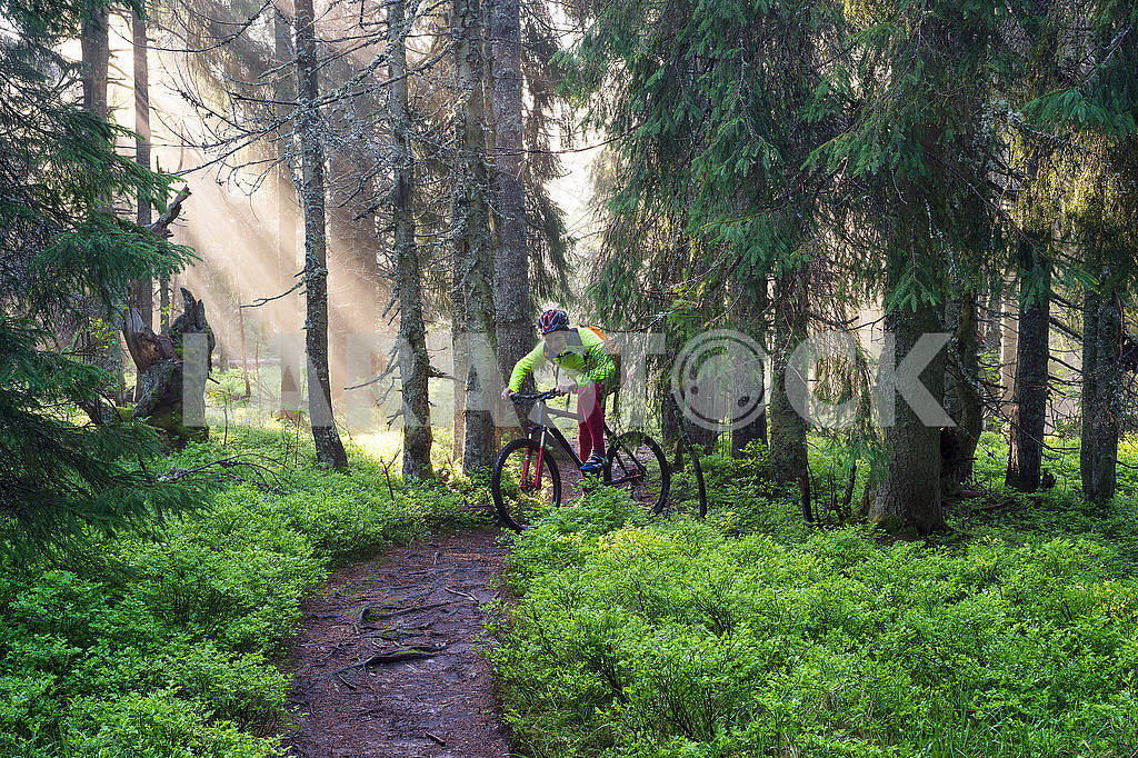 Dawn rays mountain cycling — Image 69858