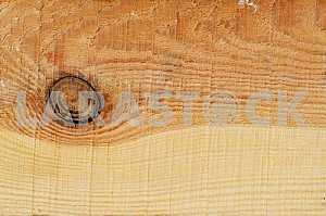 Wood texture with natural pattern