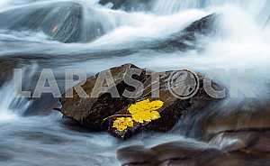 Autumn landscape