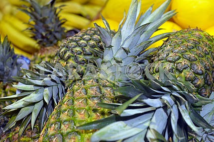 pineapples on display in a supermarket