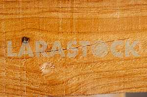 Wood texture with natural pattern