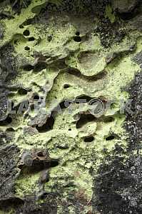 The texture of the stone