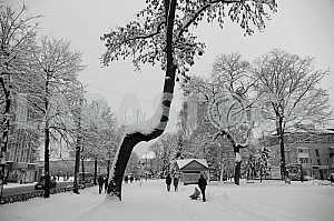 Rivne