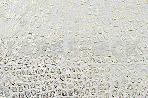 Wood texture with natural pattern