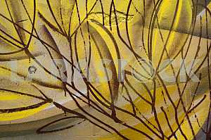 Fragment of grafiti on a concrete wall.Abstract background.