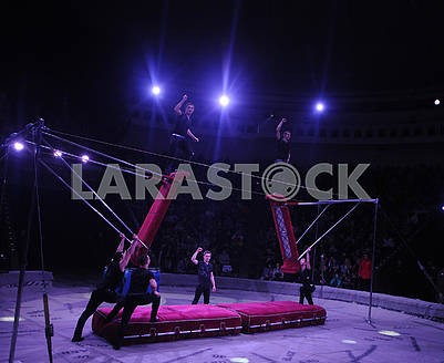 Acrobats in the circus arena