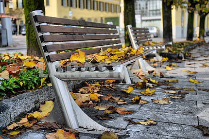 Autumn sheet on a bench