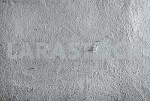 Gray wall texture with a spider web