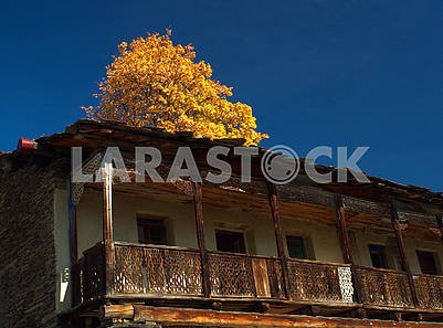 House in Upper Omalo and wood