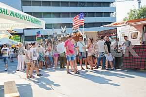 American Festival in Kiev - Ukraine 15-16 August 2015 - Stock image
