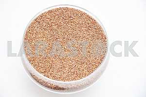 Seed