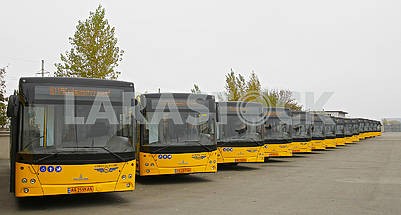 New buses