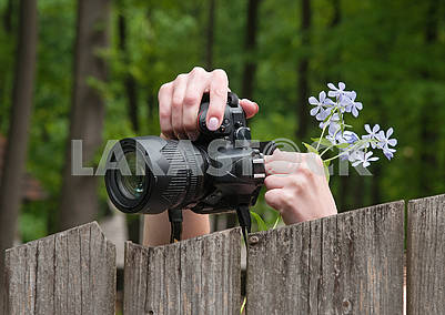 Photographer are taking pictures of nature. Green forest.