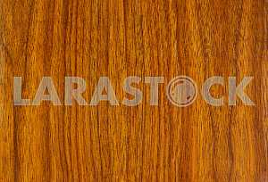 Wood texture with natural pattern