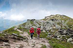 Two tourists with backpacks, go mountain ridge Chornohora