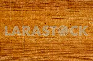 Wood texture with natural pattern