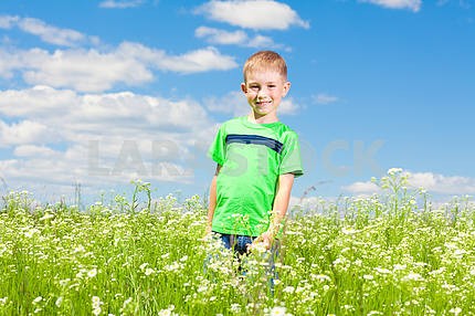 Happy boy the field