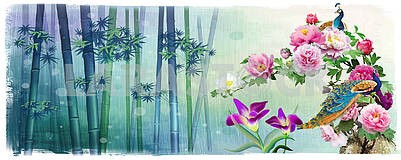 Natural illustration, bamboo, large peonies and lilies, two peacocks