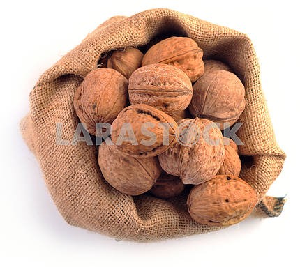 Walnuts in the tissue sac