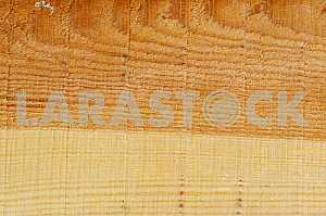 Wood texture with natural pattern