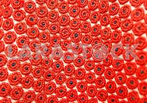 The exhibition Masterpieces of Ukrainian folk embroidery in Kiev