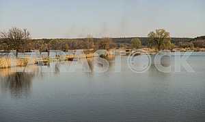 Fishing lake in spring