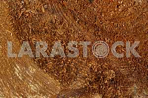 Wood texture with natural pattern