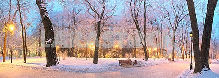 Mariinsky garden during inclement weather
